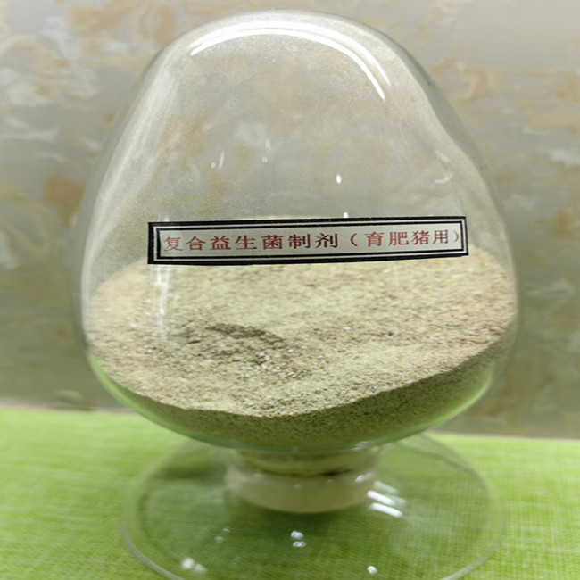 افزودنی های غذایی پروبیوتیک عمل سریع مرغ پودر زرد قهوه ای 0