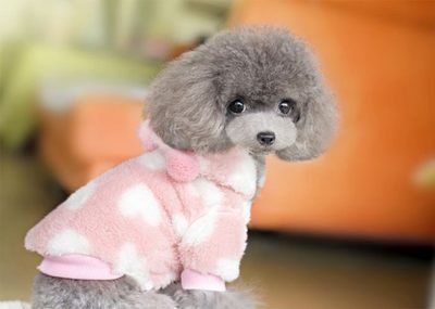 مکمل مولتی ویتامین قرص چند منظوره گربه ها و سگ ها پشتیبانی طبیعی از سیستم ایمنی و تسکین آلرژی برای سگ 2