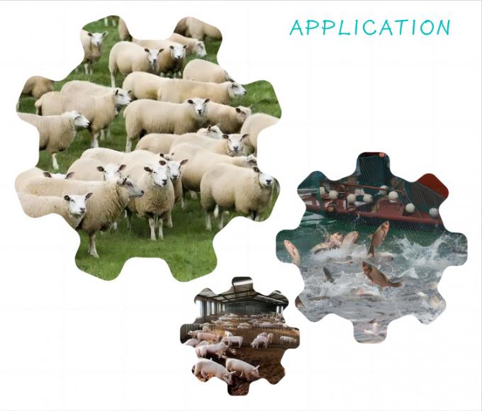 افزودنی خوراک نانو سلنیوم مخمر 2000 میلی‌گرم/کیلوگرم برای دام و طیور 1