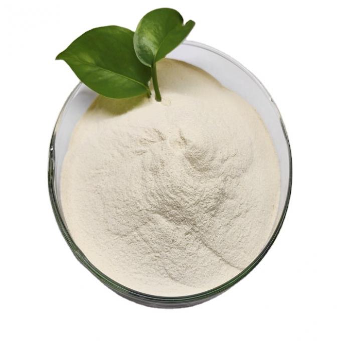 Nano Copper Iron Manganese Zinc Magnesium Cobalt 60NM High Purity Nano Partical Organic Feed Nutritional Supplement for Poultry 0