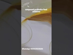 افزودنی غذایی پیچیده پروبیوتیک ها Bacillus Subtilis ترکیب آماده میکروبی