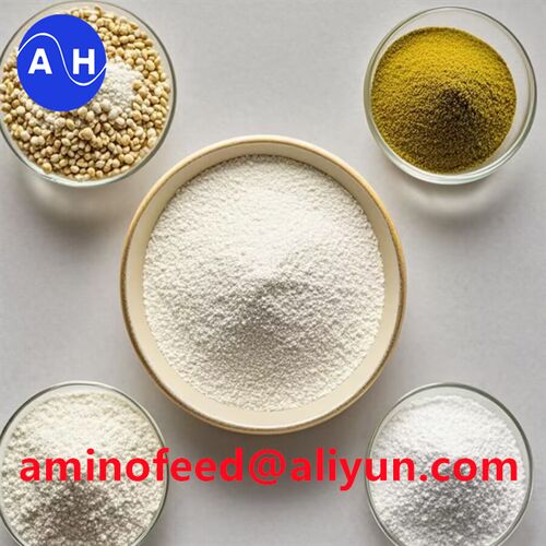 Latest company news about عملکرد پروتیینات پتید معدنی کلاهیت شده در خوراک مرغ